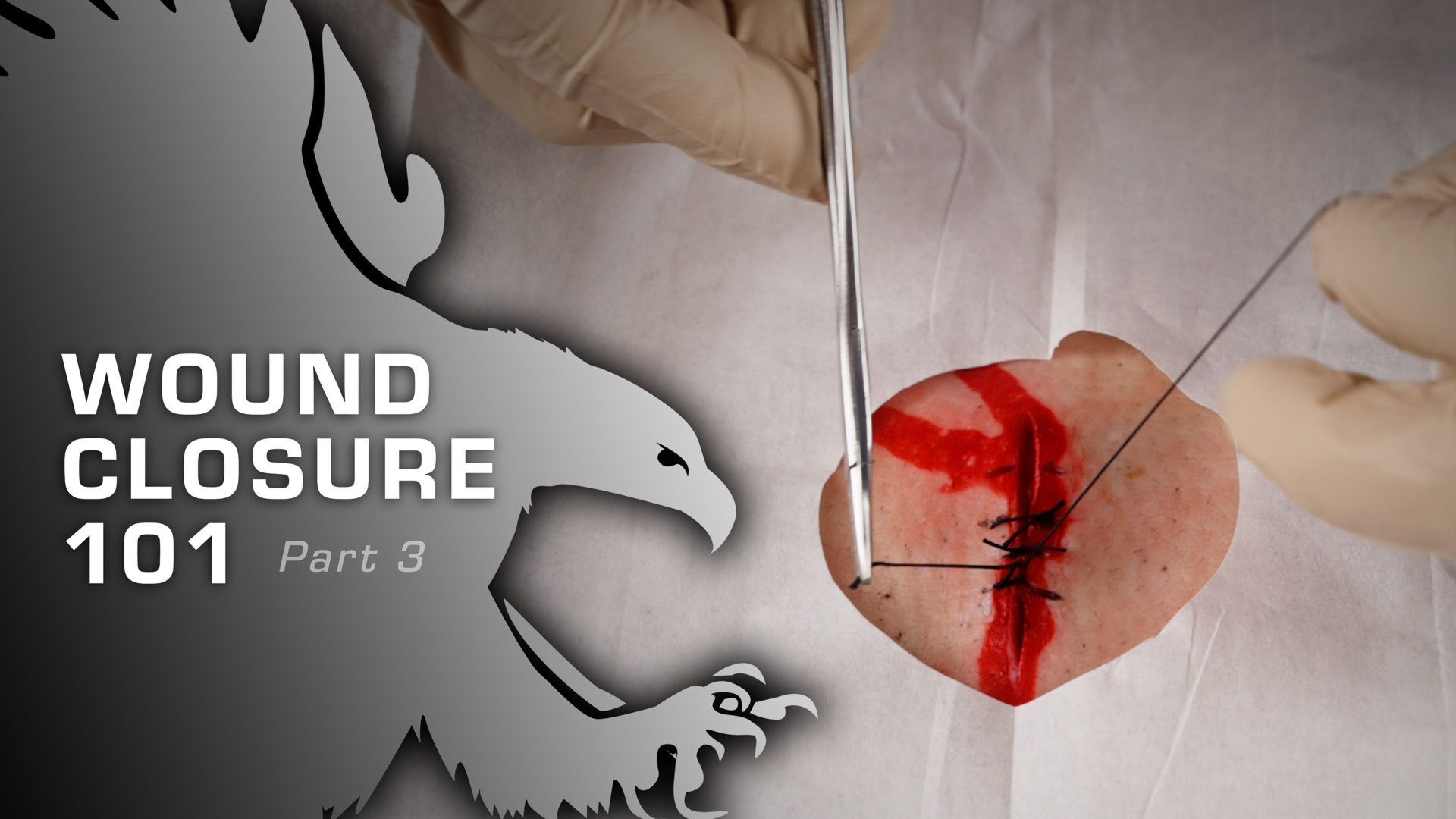 Wound Closure 101 Pt 1 Studies