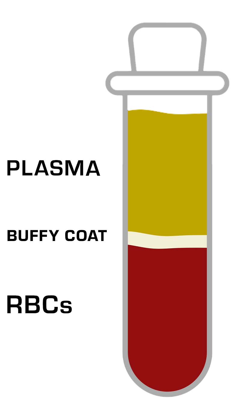 blood components
