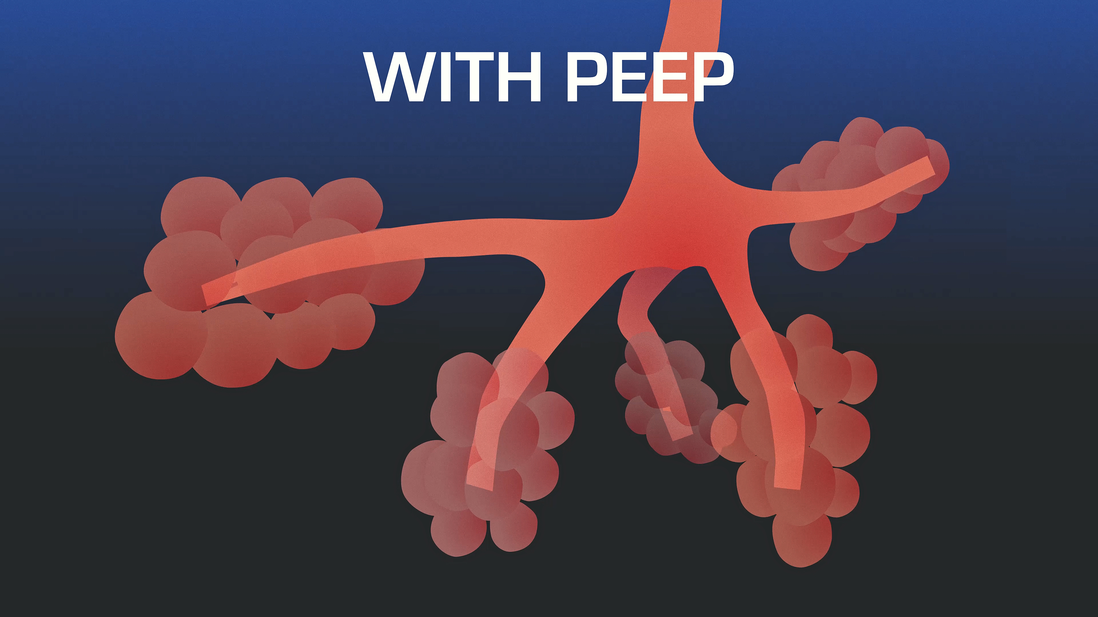 with peep with peep
