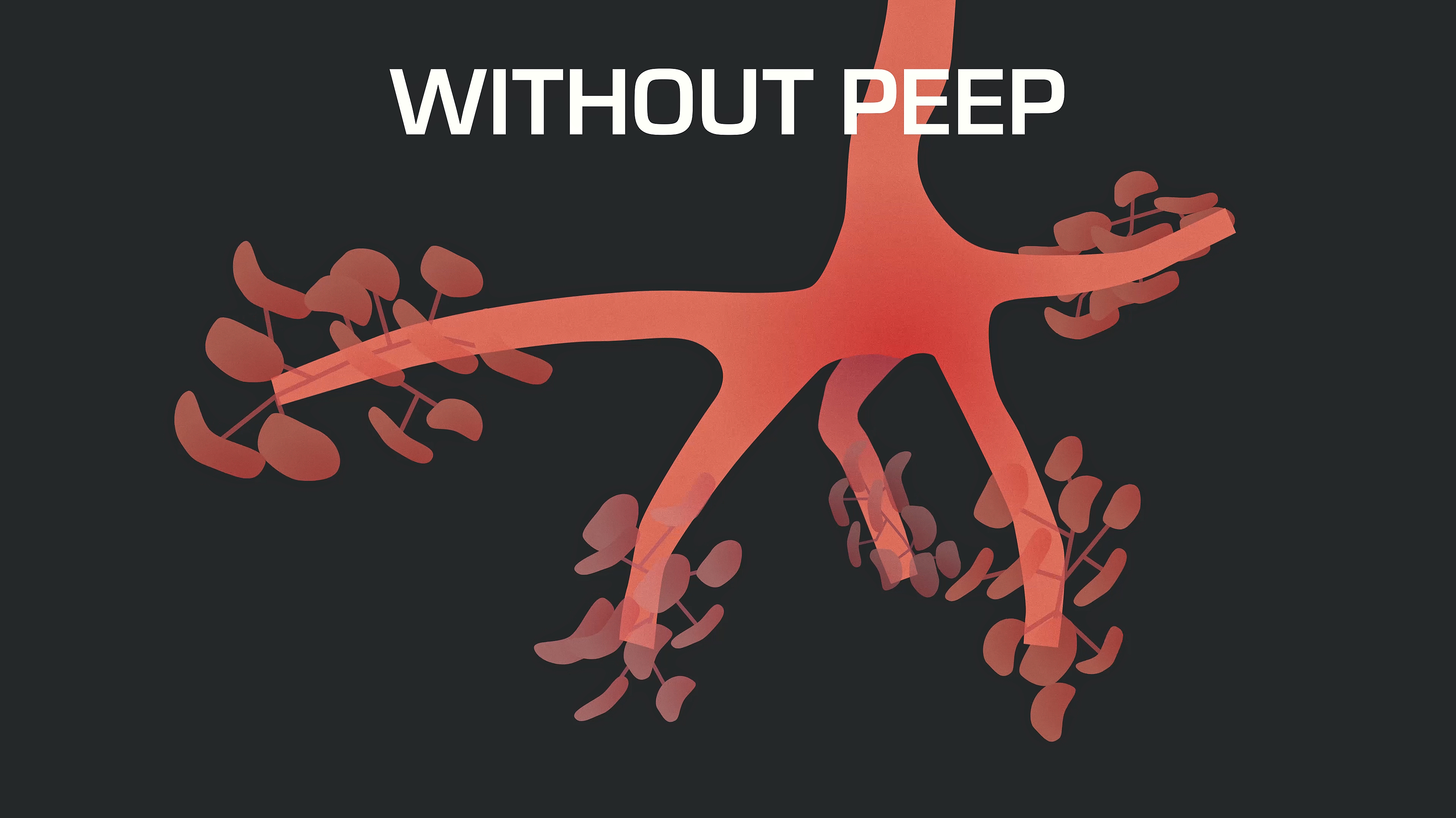 without peep without peep
