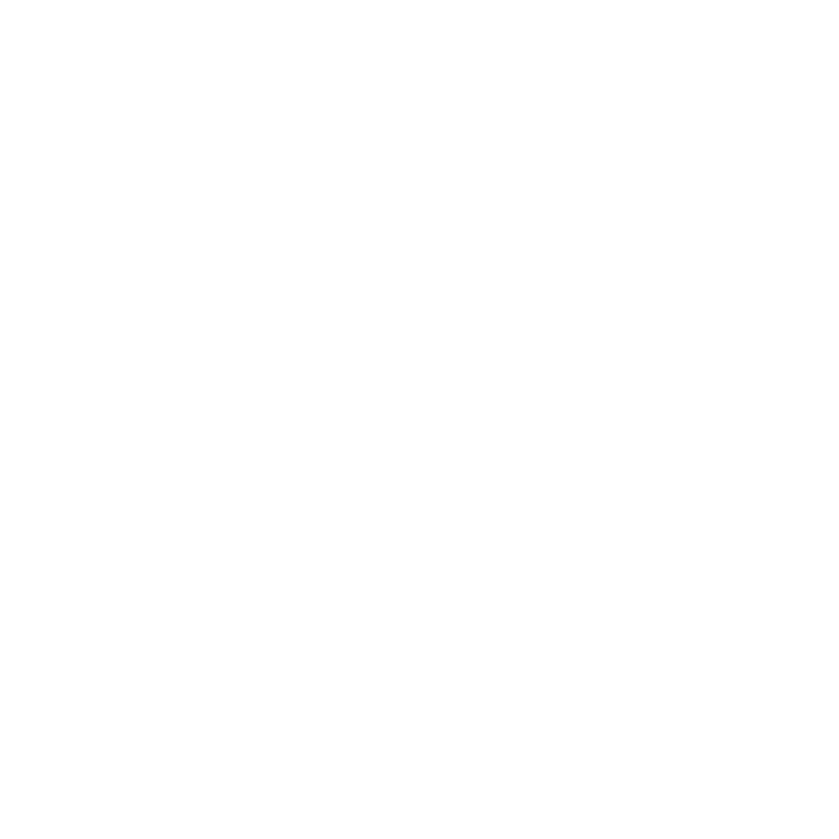 nar-global-icon North American rescue global icon